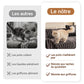 💐50% DE RÉDUCTION ! Housse de canapé en peluche ultra douce – Confort comme un nuage ☁️🛋️【Offre Limitée】