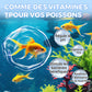 💎 1 ACHETÉS, 1 GRATUITS ! 💎 🐠Comprimés Nettoyant Aquarium Multi-fonctions 2026 – Eau Cristalline en Minutes, Sûrs pour Poissons & Plantes