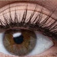 💧👀 Cils magnétiques waterproof – Adhésion instantanée sans colle, résistent à l’eau et à la transpiration, pour un regard sublime du matin au soir ☀️🌙