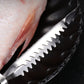 🔪Écailleur de poisson en acier inoxydable🏠