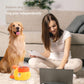 🐶 Mangeoire lente puzzle pour chien – Fini les repas trop rapides et les troubles digestifs – Forme canard interactive, 3 tailles de sortie réglables – Idéal pour petites et moyennes races 🦆