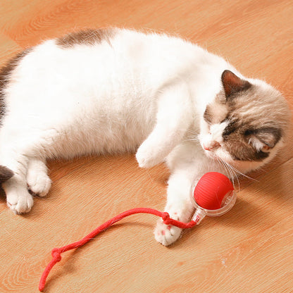 🔥VENTE LIMITÉE 55 % DE RÉDUCTION🔥Boule Roulante Automatique Intelligente pour Animaux de Compagnie