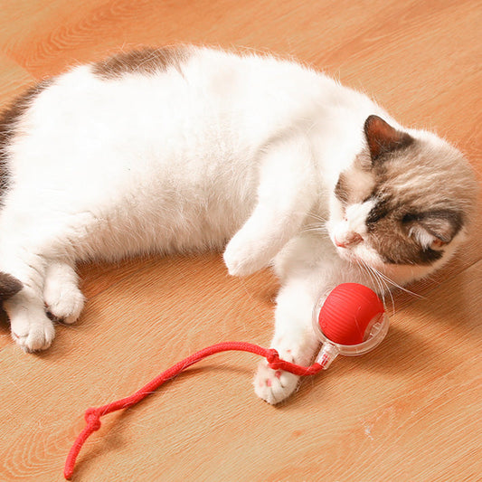 🔥VENTE LIMITÉE 55 % DE RÉDUCTION🔥Boule Roulante Automatique Intelligente pour Animaux de Compagnie