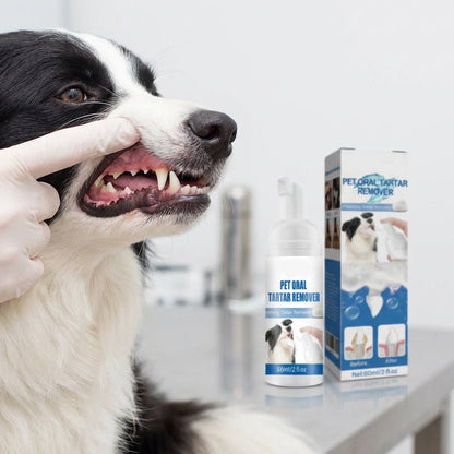 🐾🦷 OFFRE : 2 ACHETÉS, 1 OFFERT ! Mousse Dentaire Détartrante pour Animaux – Formule Végétale, Haleine Fraîche 12h, 60 ml, Bouteille 2-3