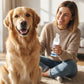 🐾OFFRE : 2 ACHETÉS, 1 OFFERT🦷Mousse Dentaire Détartrante pour Animaux – Formule Végétale, Haleine Fraîche 12h, 60 ml, Bouteille 2-3
