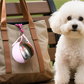 📢 50% DE RÉDUCTION !! ⏰ Bouteille d’Eau Pliable pour Animaux – Acier Inoxydable 304 + Silicone – 287 ml & Anti-Fuite pour Voyage et Randonnée 🐶💧