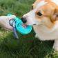 📢 50% DE RÉDUCTION !! ⏰ Bouteille d’Eau Pliable pour Animaux – Acier Inoxydable 304 + Silicone – 287 ml & Anti-Fuite pour Voyage et Randonnée 🐶💧