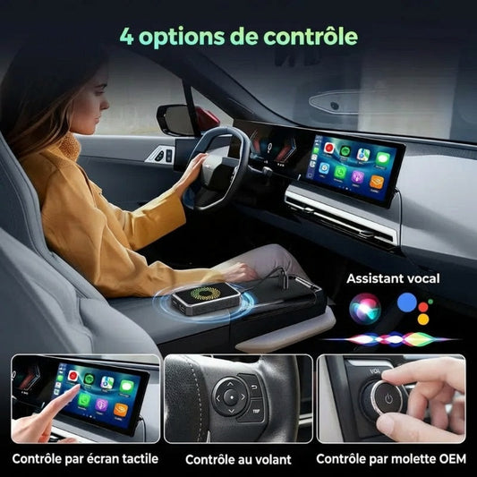 Adaptateur d'Affichage Sans Fil Mini