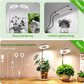 Lampe de croissance pour plantes à anneau LED "Angel Ring"