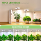 Lampe de croissance pour plantes à anneau LED "Angel Ring"
