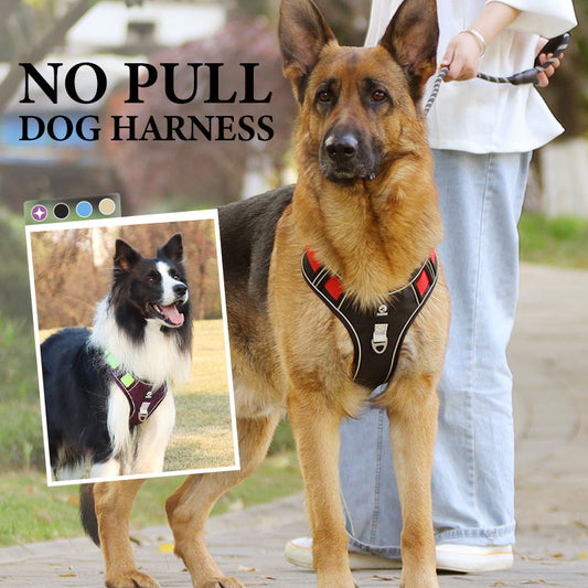 📢📢40 % DE RÉDUCTION !! ⏰Harnais anti-traction pour chien avec laisse et collier à LED