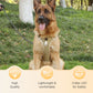 📢📢40 % DE RÉDUCTION !! ⏰Harnais anti-traction pour chien avec laisse et collier à LED