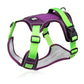 📢📢40 % DE RÉDUCTION !! ⏰Harnais anti-traction pour chien avec laisse et collier à LED