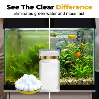 💐Traitement Anti-Algues Aquarium – Eau Claire en 24h, Sans Danger pour Poissons !