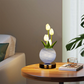 💡 Veilleuse Bouquet de Tulipes – Verre & Métal – Lueur Douce & USB for Chambre & Nursery