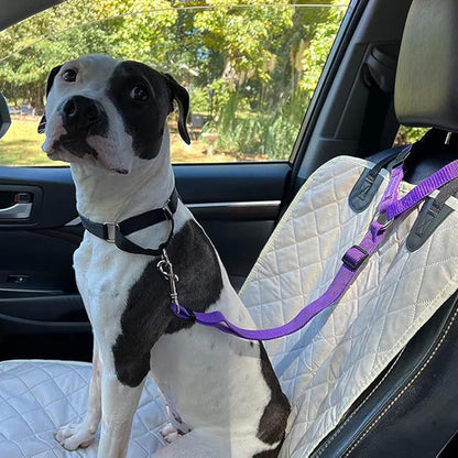 Harnais de Sécurité Auto – Ceinture Élastique Anti-Étranglement 🐶✔️【Offre Limitée】
