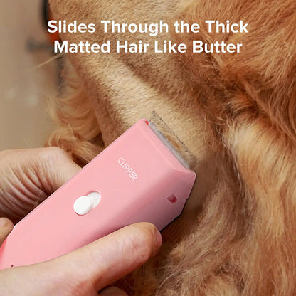 🐾✂️ PROMO LIMITÉE -50% ! Tondeuse Sans Fil Silencieuse pour Chien/Chat – Lame Céramique, IPX7, USB, Autonomie 90 min, 4 Couleurs