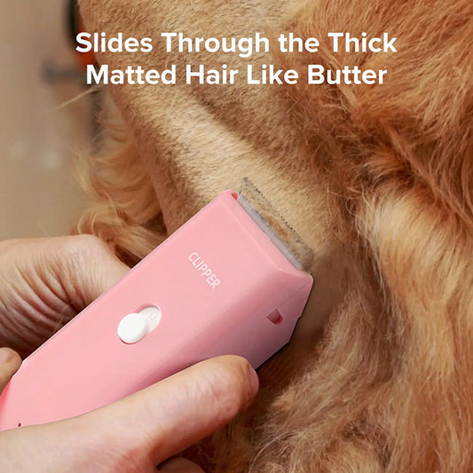 🐾✂️ PROMO LIMITÉE -50% ! Tondeuse Sans Fil Silencieuse pour Chien/Chat – Lame Céramique, IPX7, USB, Autonomie 90 min, 4 Couleurs