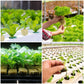 📢📢-50% !! ⏰Cubes de Laine de Roche pour Culture Hors-Sol