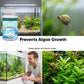 ✅ Comprimés Effervescents pour Aquarium Eau Cristalline