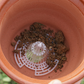🌿Soucoupe Pot de Fleur Conique – Protection Meubles & Drainage Anti-Fuite 🛡️