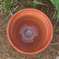 🌿Soucoupe Pot de Fleur Conique – Protection Meubles & Drainage Anti-Fuite 🛡️