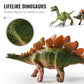 🦕🔍 Kit éducatif dinosaures 46/52/64 pièces – Fossiles, outils, boîte T-Rex, parfait pour jeu créatif et découverte des petits paléontologues, une aventure scientifique qui captive les enfants des heures durant 🌿🦴