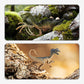 🦕🔍 Kit éducatif dinosaures 46/52/64 pièces – Fossiles, outils, boîte T-Rex, parfait pour jeu créatif et découverte des petits paléontologues, une aventure scientifique qui captive les enfants des heures durant 🌿🦴