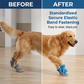 🔥 DERNIER JOUR PRIX SPÉCIAL -50% ! 💥 Chaussures Légères en Maille Antidérapantes pour Chien – Maille + TPR – Semelle Coussins & Fermeture Élastique pour Tous Terrains 🐶