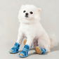 🔥 DERNIER JOUR PRIX SPÉCIAL -50% ! 💥 Chaussures Légères en Maille Antidérapantes pour Chien – Maille + TPR – Semelle Coussins & Fermeture Élastique pour Tous Terrains 🐶