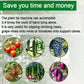 🍇Attacheur de vignes multifonction – Liage pour arbres fruitiers, plants de tomates, vignes & jardin potager – Outil pratique pour tuteur grand modèle🌱✂️