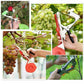 🍇Attacheur de vignes multifonction – Liage pour arbres fruitiers, plants de tomates, vignes & jardin potager – Outil pratique pour tuteur grand modèle🌱✂️