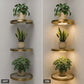 📢 PROMO FLASH : 50% DE RÉDUCTION ! ⏰ Étagère Murale Flottante LED – Finition Dorée – Éclairage d'Ambiance & Recharge USB for Plantes & Décoration Intérieure ✨