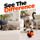🦋🐱 Jouet Papillon Capteur Intelligent – -50% ! Activé par le mouvement, vol réaliste, jeu interactif – garde votre chat occupé des heures. 🔥✨