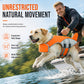 🐕 Gardez votre chien à flot — sans le retenir. Flotteur frontal amovible pour plus de portance quand il en a besoin, liberté totale quand il n'en a pas. 🌊