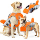🐕 Gardez votre chien à flot — sans le retenir. Flotteur frontal amovible pour plus de portance quand il en a besoin, liberté totale quand il n'en a pas. 🌊