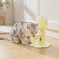 🐱💧 Fontaine à eau pour chat à hauteur réglable – 3 niveaux, 650 ml, antidérapante, offrez à votre félin une hydratation confortable sans forcer sur ses cervicales, de l’eau toujours fraîche qui coule en continu 🌊🐾