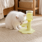 🐱💧 Fontaine à eau pour chat à hauteur réglable – 3 niveaux, 650 ml, antidérapante, offrez à votre félin une hydratation confortable sans forcer sur ses cervicales, de l’eau toujours fraîche qui coule en continu 🌊🐾