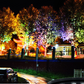 🌳 50% DE RÉDUCTION! 💡 Éclairage solaire annulaire pour arbres – Spots étanches, lumière chaleureuse & design discret – Transforme votre jardin en allée féerique la nuit ✨