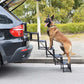 🐕 -50% ! 🚗 Escalier Pliable Antidérapant pour Chien en Voiture – Tissu Antidérapant – 2 ou 4 Marches – Noir/Gris/Bleu – Support Robuste pour Toutes Tailles 🐾
