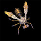 🐝⚙️ Kit de maquette 3D abeille mécanique en métal – Puzzle DIY steampunk, découpe laser précise, assemblez votre abeille métallique sans colle, une déco rétro-futuriste fascinante 🛠️✨