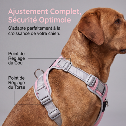 Harnais pour chien anti-traction