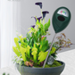 🌱🛒 -50% ! 💧Humidimètre de Sol Professionnel – Lecture Précise, Sans Pile & Usage Intérieur/Extérieur.