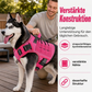 🐕 50% DE RÉDUCTION! 🦺 Harnais chien en Oxford – Durable, respirant & facile à ajuster ✨