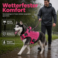 🐕 50% DE RÉDUCTION! 🦺 Harnais chien en Oxford – Durable, respirant & facile à ajuster ✨
