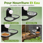 🦎🌿 Mangeoire Double Suspendue pour Reptiles – Fixation par Ventouse, Godets Amovibles et Alimentation Surélevée