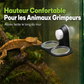 🦎🌿 Mangeoire Double Suspendue pour Reptiles – Fixation par Ventouse, Godets Amovibles et Alimentation Surélevée