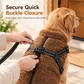 🐕 50% DE RÉDUCTION! ❄️ Manteau d'hiver pour chien – Bandes réfléchissantes & harnais intégré ✨