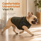 🐕 50% DE RÉDUCTION! ❄️ Manteau d'hiver pour chien – Bandes réfléchissantes & harnais intégré ✨