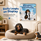 🛒 Offre limitée : –50 % ! 🐶 Calendrier mural 2027 teckels espiègles – Fini les calendriers ternes et les dates oubliées – 12 mois d'humour, grandes cases, reliure double fil – Idéal pour cuisine, bureau et cadeaux 🎁